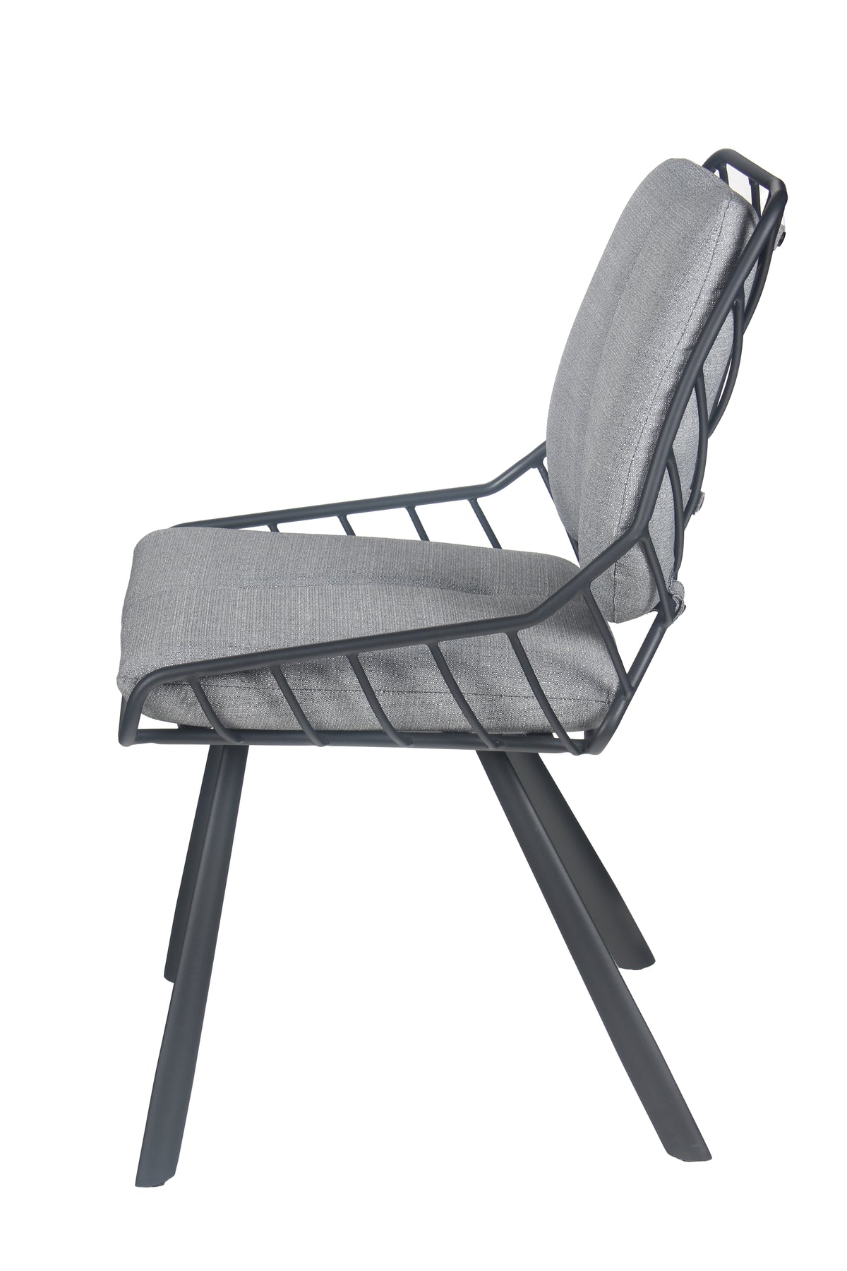 Chaise Rex