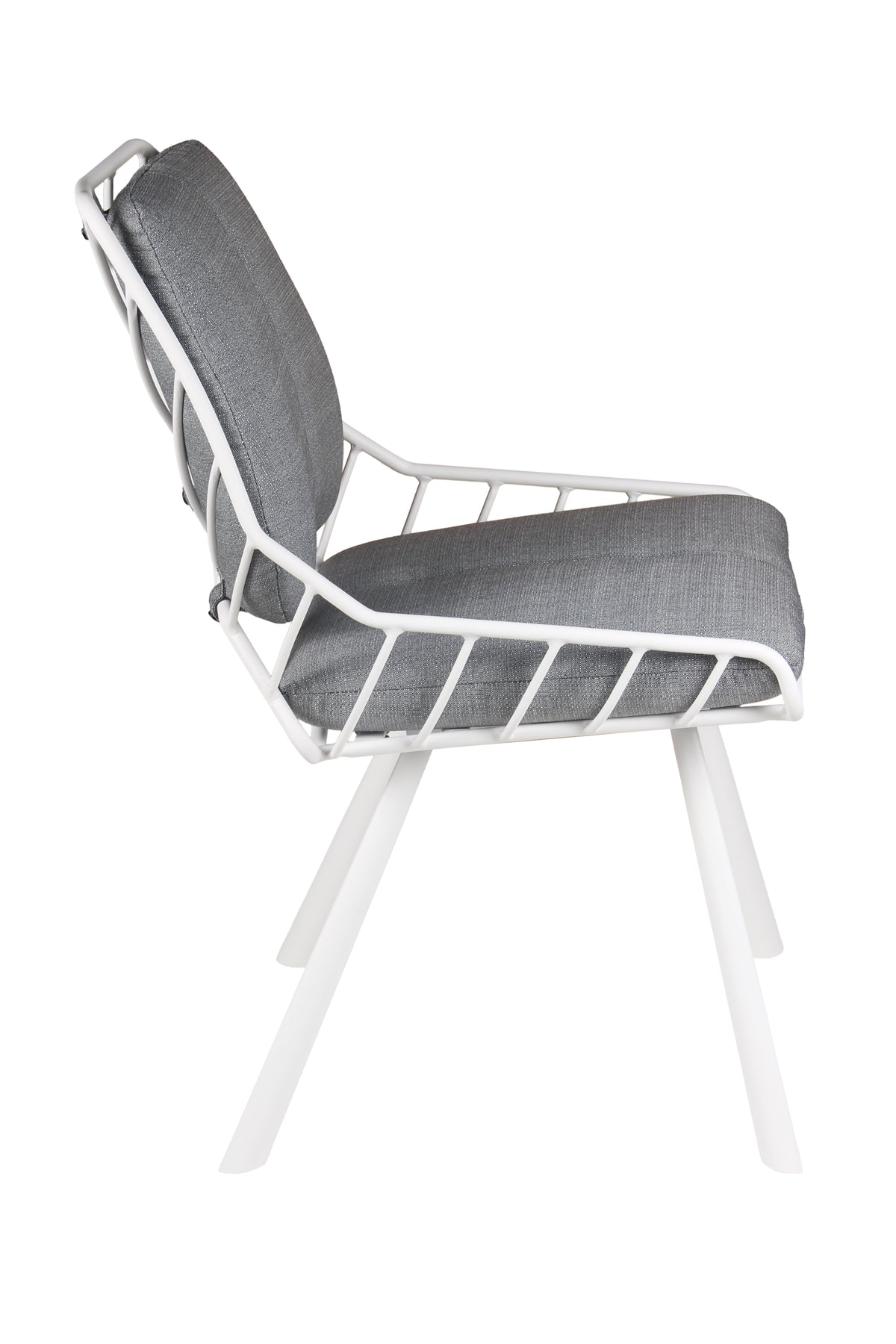 Chaise Rex