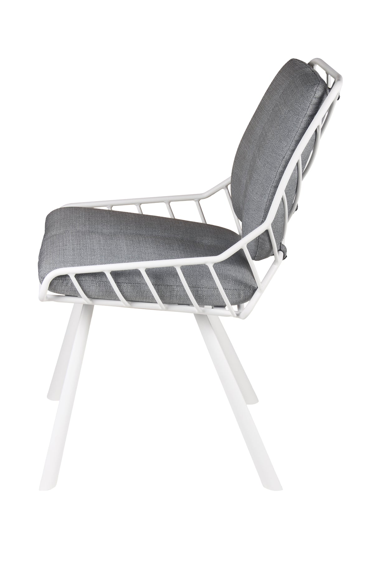 Chaise Rex