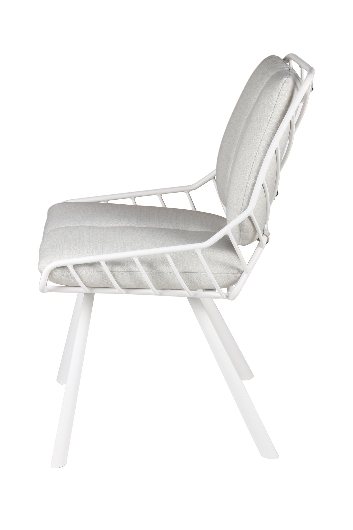 Chaise Rex